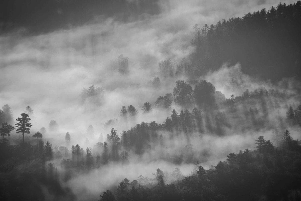 Portfolio Website untuk Fotografer